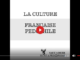 Screenshot_2020-05-22 La culture Française pédophile – Team Fsociety