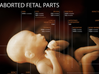 TRAFIC DE FOETUS FRANCE INTERNATIONAL