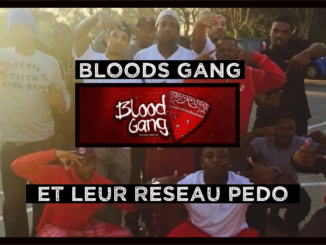 Gang Des Bloods Reseau Pedophile