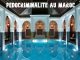 Mamounia article