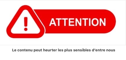 B0DA769E 006C 406A BC0D 2B2B75E6BDD3 4 5005 c